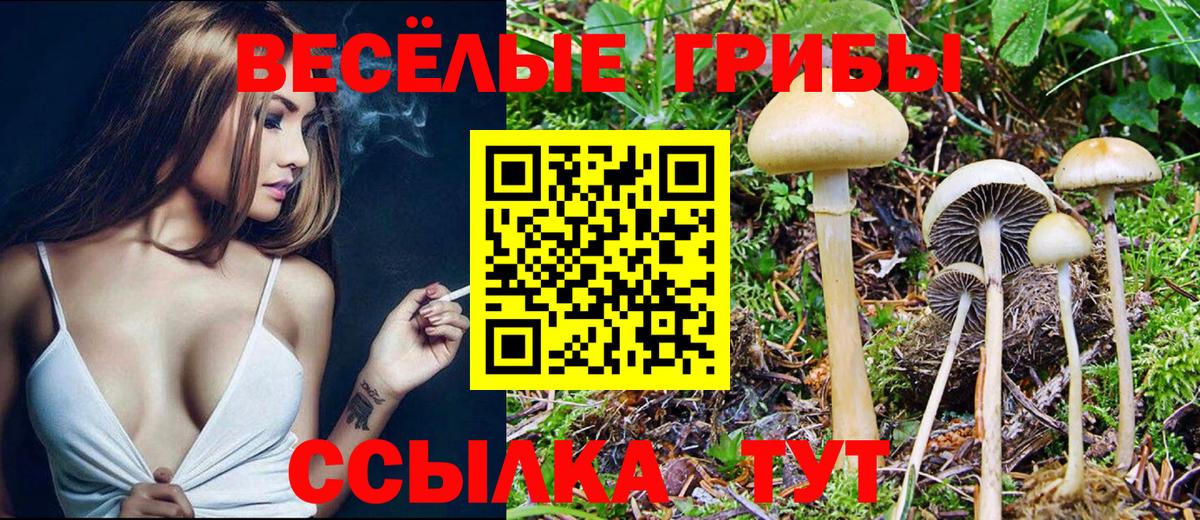 Калач-на-Дону  Псилоцибиновые грибы мухоморы  дарнет шоп  Вход с VPN  Галлюциногенные грибы MAGIC MUSHROOMS 